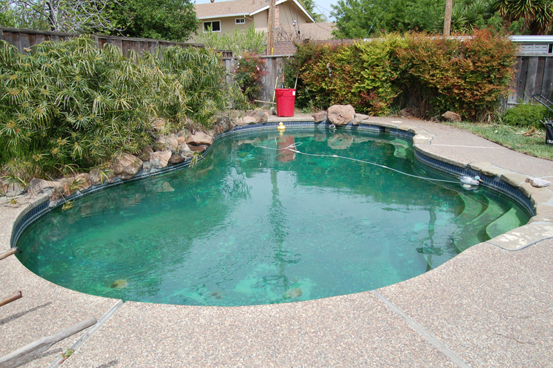 All Clear Pools and Spa East Bay Pool Service